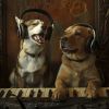 Download track Playful Pup Beats