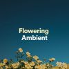 Download track Flowering Ambient, Pt. 20