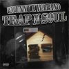 Download track Trap N Soul