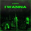 Download track I Wanna Rave (Radio Edit)