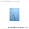 Download track Deep Sleep With Neural Waves And Mental Focus