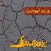 Download track Mule To Ride