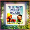 Download track Till We Meet Again (The Last Dance)