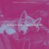 Download track Sumptuous Moods For Dogs