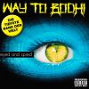 Download track Way To Bodhi'