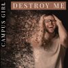 Download track Destroy Me