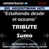 Download track Estallando Desde El Oceano In The Style Of Sumo (Karaoke Version)