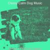 Download track Warm Solo Piano Jazz - Vibe For Calming Pups