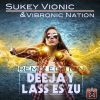 Download track Deejay Lass Es Zu (Kaylife! Remix)