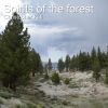 Download track Soft Serenity