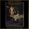 Download track Excreted From The Flesh