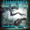 Download track Survive The Storm