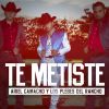 Download track Te Metiste