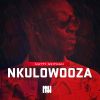 Download track Nkulowooza