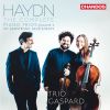 Download track Haydn: Piano Trio No. 25, Op. 57, Hob. XV: 12 No. 2: I. Alegro Moderato