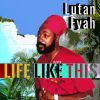 Download track Life Like This