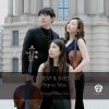 Download track Schubert Piano Trio No. 2 In E-Flat Major, D. 929 I. Allegro