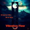 Download track Vibration Flow (Brut Mix)