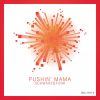 Download track Pushin' Mama (Long Train Running)