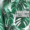 Download track La Fuente Funk (Original Mix)