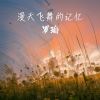 Download track 漫天飞舞的记忆