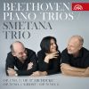 Download track Piano Trio No. 2 In E-Flat Major, Op. 70: I. Poco Sostenuto - Allegro Ma Non Troppo