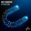 Download track Attraction (Extended Mix)