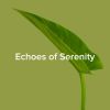 Download track Echoes Of The Forest