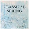 Download track Mozart: Sehnsucht Nach Dem Frühling, K. 596