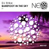 Download track Barefoot In The Sky (Original Mix)