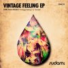 Download track Vintage Feeling