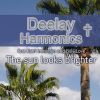 Download track The Sun Looks Brighter Fly (Remix)