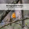 Download track Relaxing Bird Chirping Sounds, Pt. 10