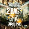 Download track 2 Bags Of Grass (Jayline Remix)