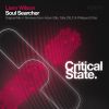 Download track Soul Searcher (Adam Ellis Got No Soul Remix)