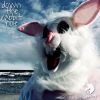 Download track Down The Rabbit Hole (Bergwall Remix)