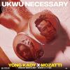 Download track Ukwu Necessary