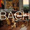 Download track Brandenburg Concerto No. 3 In G Major, BWV 1048: I. [No Tempo Indication]