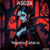 Download track Nepeta Cataria