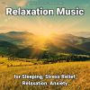 Download track New Age Music For Sleeping