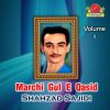 Download track Marchi Gul E Qasid