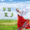 Download track 梦回故乡