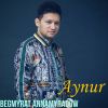 Download track Aynur