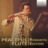 Download track Flute Concerto No. 4 In A-Flat Major II. Valse Lento