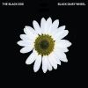 Download track Black Daisy Wheel