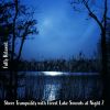 Download track Sheer Tranquility With Forest Lake Sounds At Night, Pt. 17