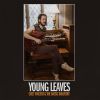 Download track Young Leaves