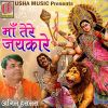 Download track Aaye Datiye Maa Tera Bhavan