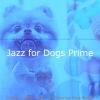 Download track Bright Ambiance For Walking Dogs