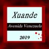 Download track Avenida Venezuela